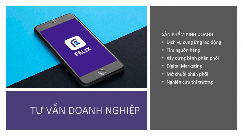 TƯ VẤN DOANH NGHIỆP