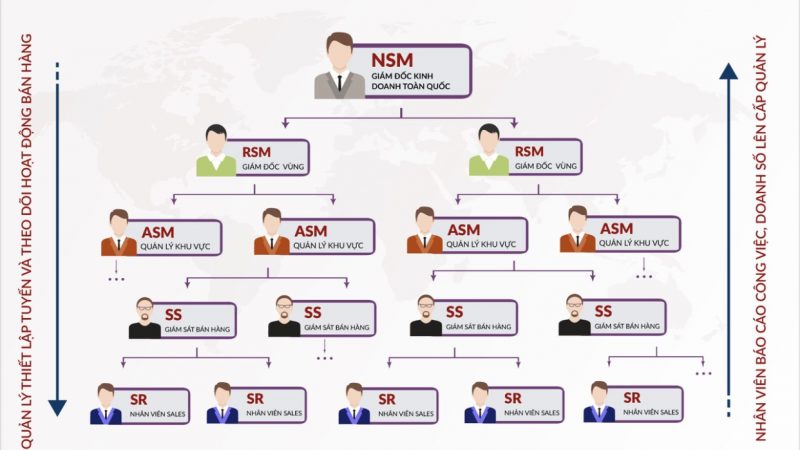 Cơ cấu tổ chức của Bộ phận kinh doanh – Organizational structure of the Sales Department