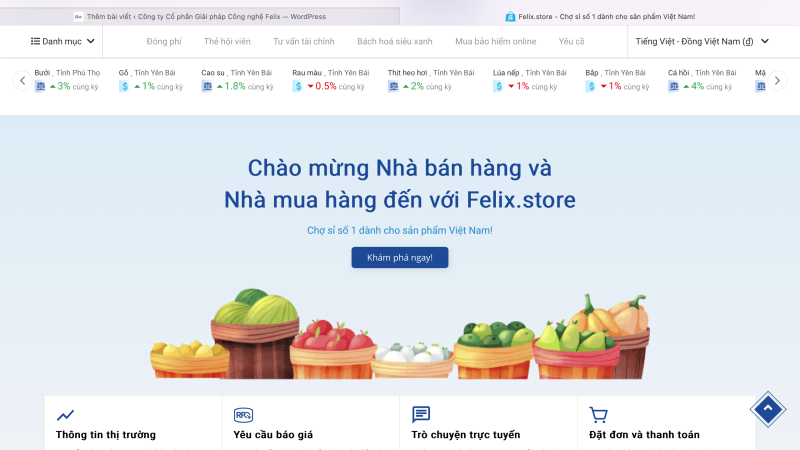 Sàn TMĐT B2B Felix.store chuyên hỗ trợ nhà bán hàng nông sản Việt Nam mở rộng thị trường trong nước và xuất khẩu