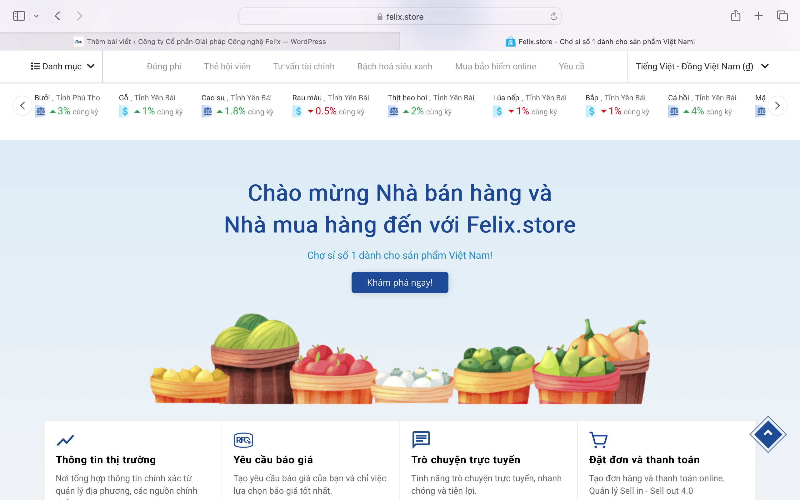 Sàn TMĐT B2B Felix.store chuyên hỗ trợ nhà bán hàng nông sản Việt Nam mở rộng thị trường trong nước và xuất khẩu