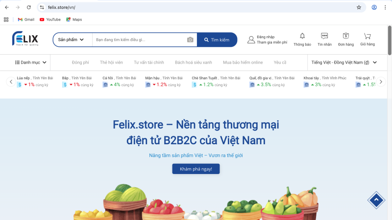 Chiến lược Định vị và Phát triển Hệ sinh thái Thương mại Điện tử B2B Felix.store: Phân tích Cạnh tranh và Lộ trình Tăng trưởng Giai đoạn 2026-2028