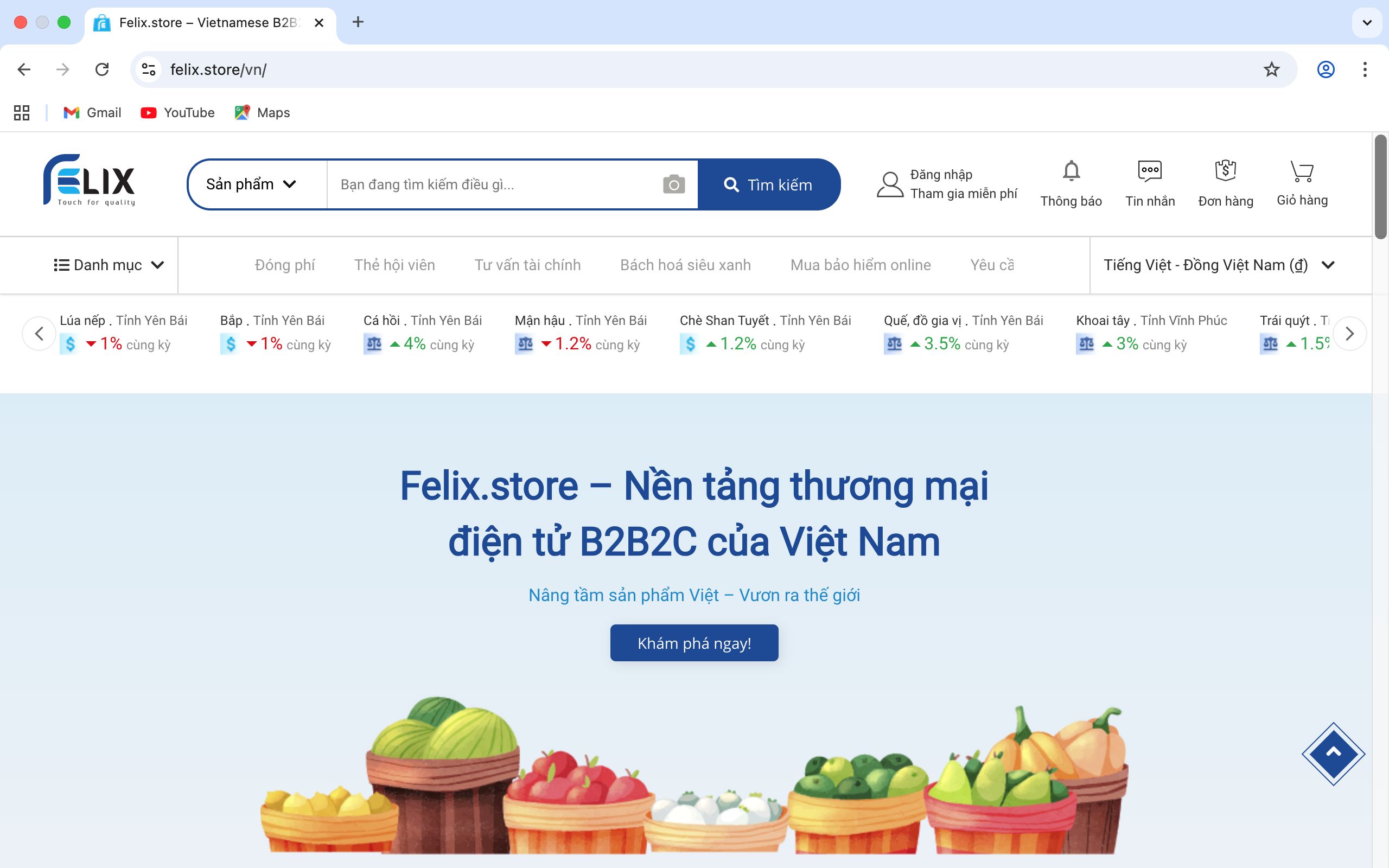 Chiến lược Định vị và Phát triển Hệ sinh thái Thương mại Điện tử B2B Felix.store: Phân tích Cạnh tranh và Lộ trình Tăng trưởng Giai đoạn 2026-2028
